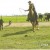 123010_2202_AGRICULTURE1.jpg